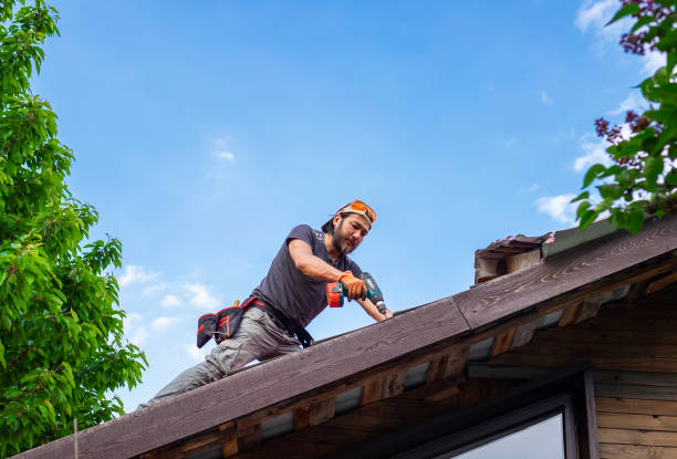 Best Roof Ventilation Installation  in St Albans, WV